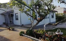 Gordana Apartments