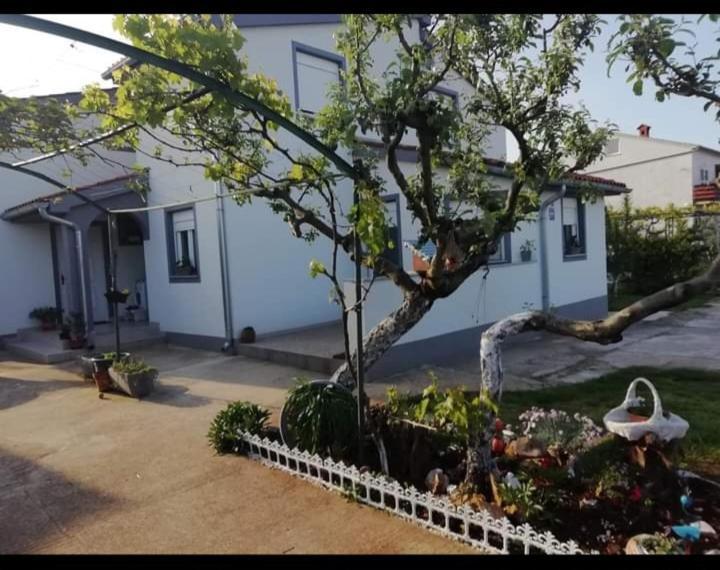 Gordana Apartments Fažana Kültér fotó